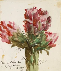 Purpurfarbene Kaktusknospe von New Mexico, 1869